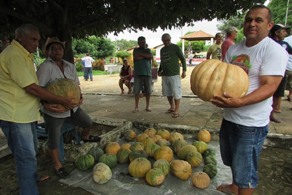 Prefeitura realiza a II Feira da Agricultura Familiar - Imagem 1