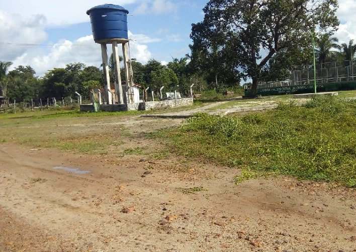Limpeza de vias e espaços públicos garantem mesa farta a milhares famílias em São João do Arraial - Imagem 12