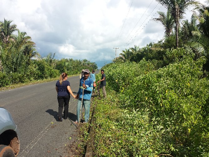 Limpeza de vias e espaços públicos garantem mesa farta a milhares famílias em São João do Arraial - Imagem 7