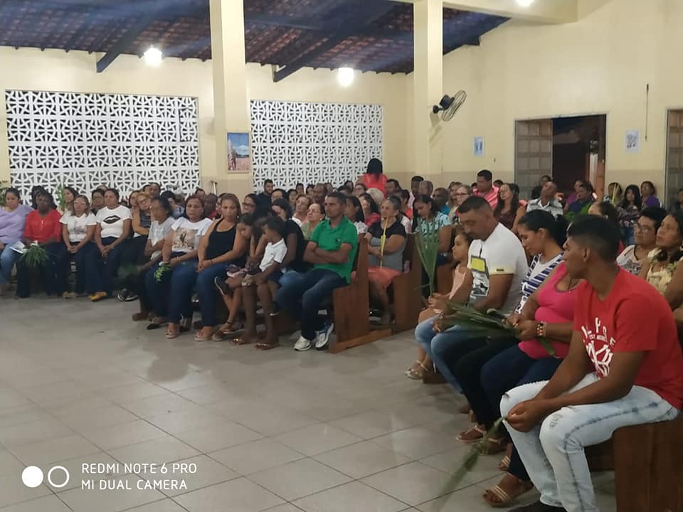 Procissão de ramos da início a semana santa na paróquia Santo Inácio de Loyola em Santo Inácio do Piauí - Imagem 6