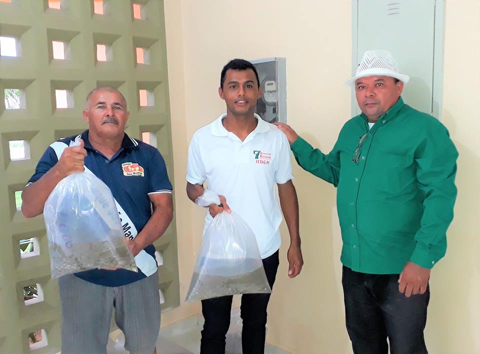 SMA de Joaquim Pires realiza a segunda etapa da entrega de alevinos aos piscicultores - Imagem 4