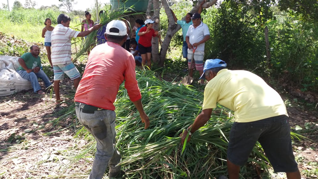 Assentamento Flores em Uruçuí recebe curso de compostagem - Imagem 2
