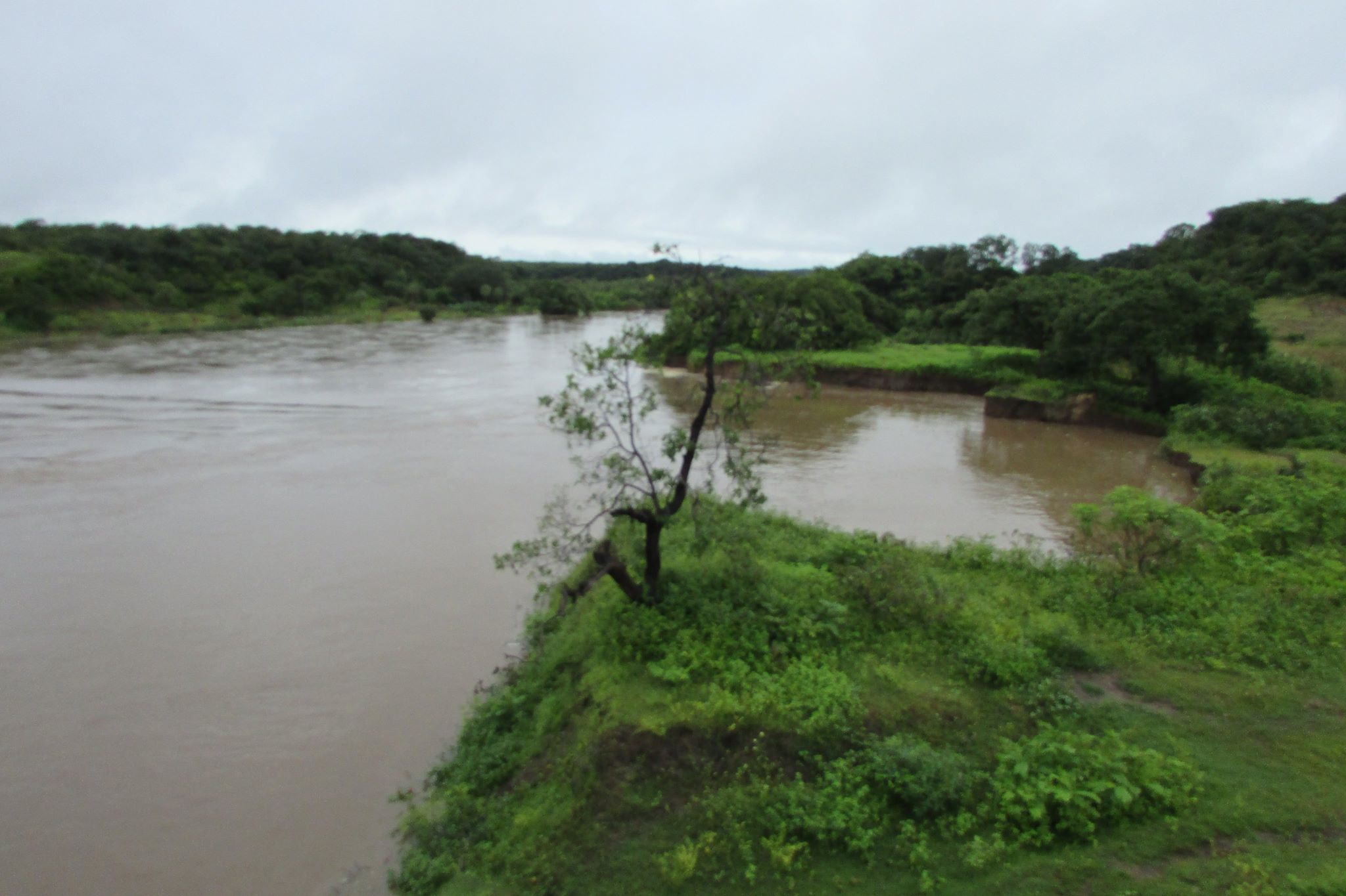 Em São João da Serra, Rio Poty transborda e invade bares e casas. Confira fotografias! - Imagem 3