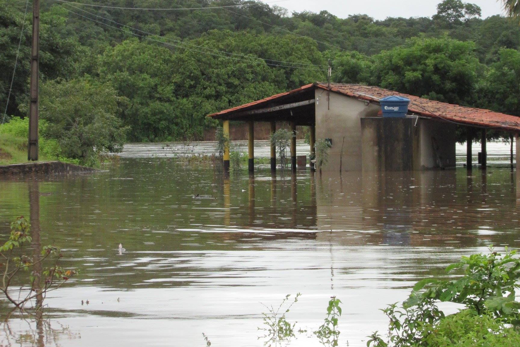 Em São João da Serra, Rio Poty transborda e invade bares e casas. Confira fotografias!