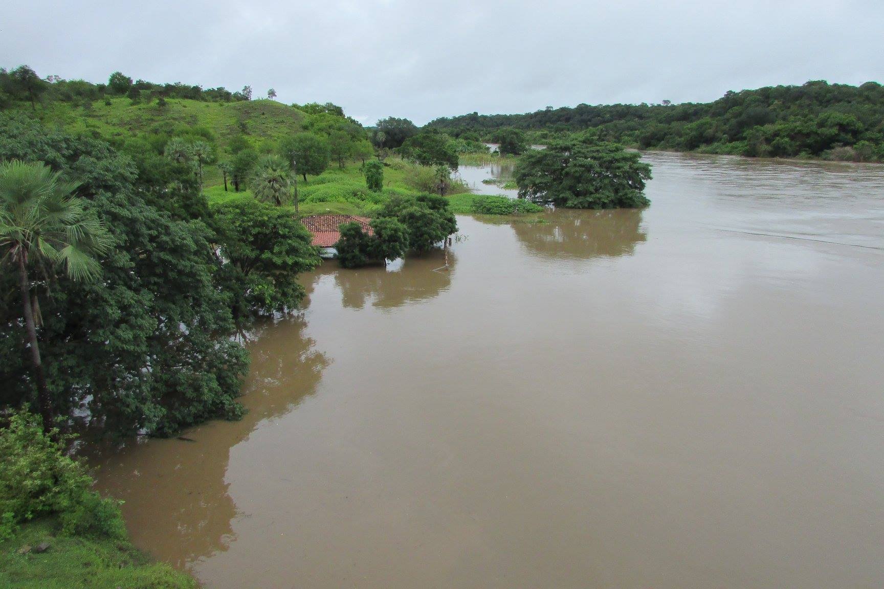 Em São João da Serra, Rio Poty transborda e invade bares e casas. Confira fotografias! - Imagem 2