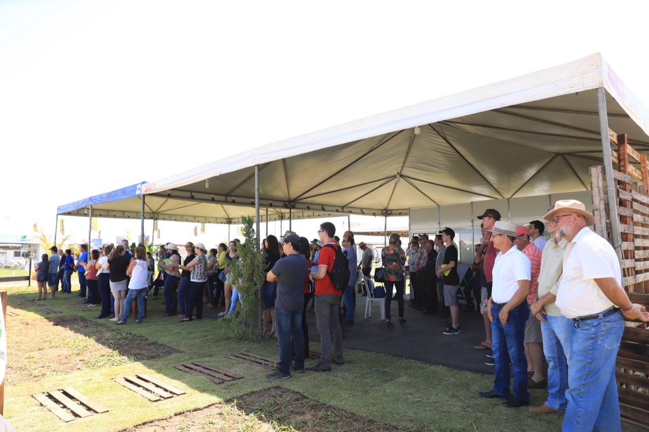Abertura da Exposoja aconteceu nesta quinta-feira - Imagem 4