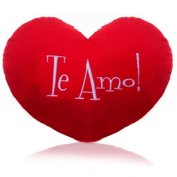 Prefeitura apoia festa para às mães na zona rural do município - Imagem 12