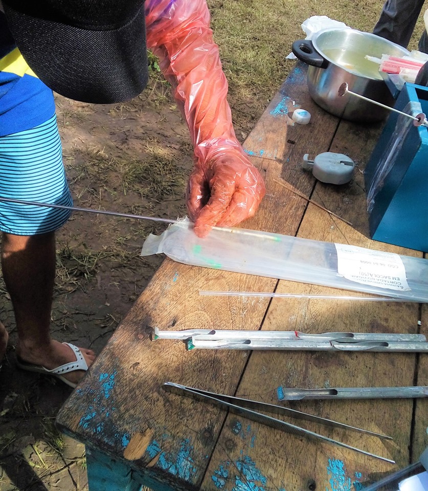 SMA promove o primeiro curso de inseminação artificial em bovinos de Joaquim Pires - Imagem 2