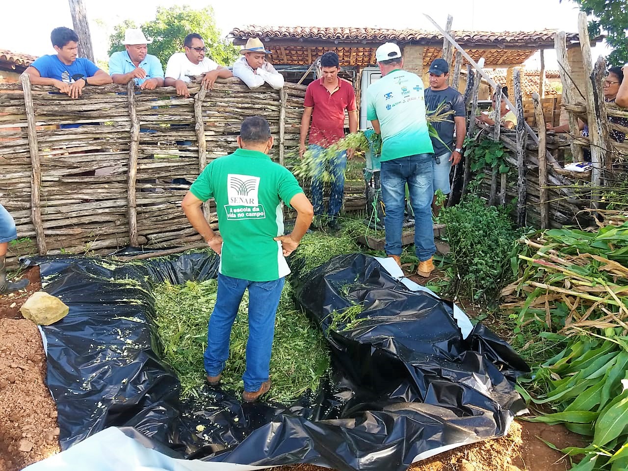 SENAR realiza curso de silagem para produtores rurais de Joaquim Pires - Imagem 4
