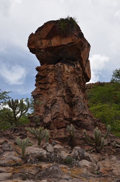Dom Expedito Lopes poderá desenvolver rota de turismo - Imagem 50