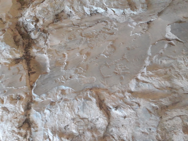 Dom Expedito Lopes poderá desenvolver rota de turismo - Imagem 13