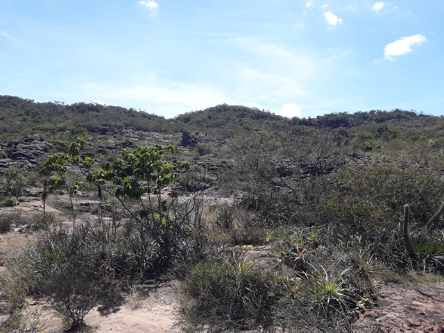 Dom Expedito Lopes poderá desenvolver rota de turismo - Imagem 23