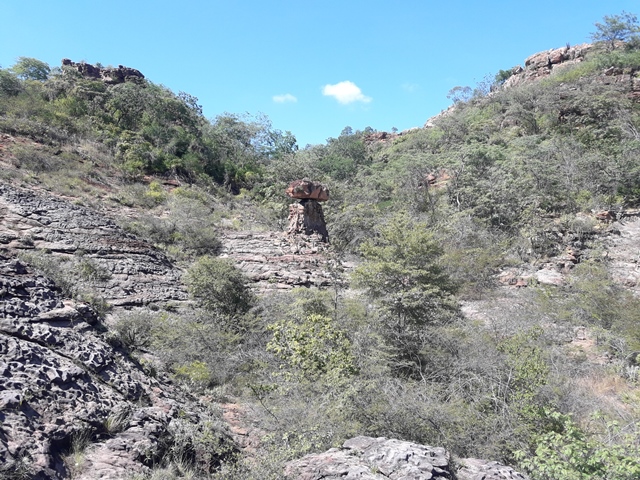 Dom Expedito Lopes poderá desenvolver rota de turismo - Imagem 22