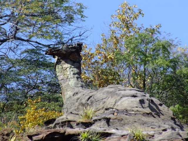 Dom Expedito Lopes poderá desenvolver rota de turismo - Imagem 8