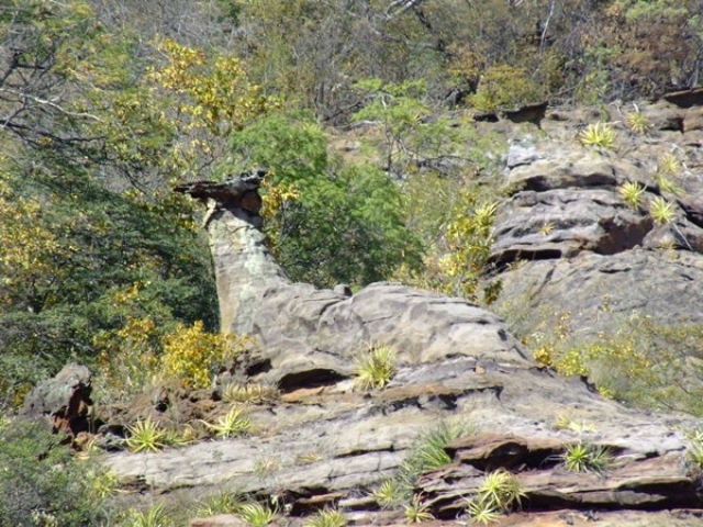 Dom Expedito Lopes poderá desenvolver rota de turismo - Imagem 29