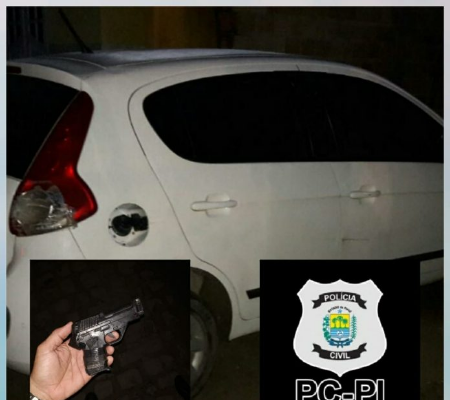Homem é preso com veículo roubado no norte do Piauí