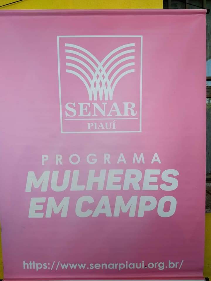 Mulheres no Campo fazem feira em Monsenhor Gil - Imagem 2