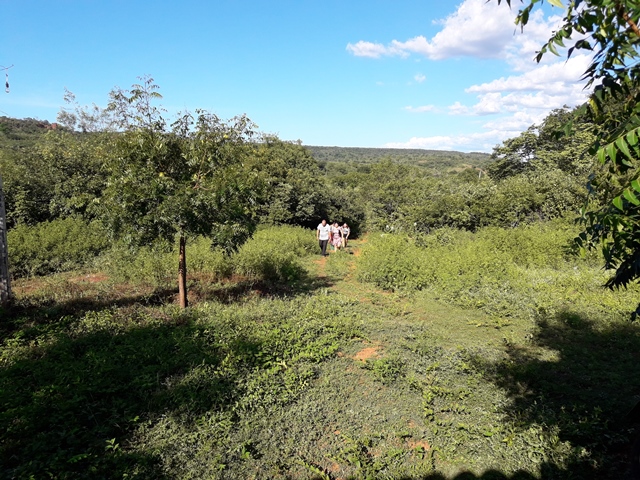 Peregrinação da subida do morro festejos da Santa Cruz em Malhada no município de Bocaina – PI - Imagem 33