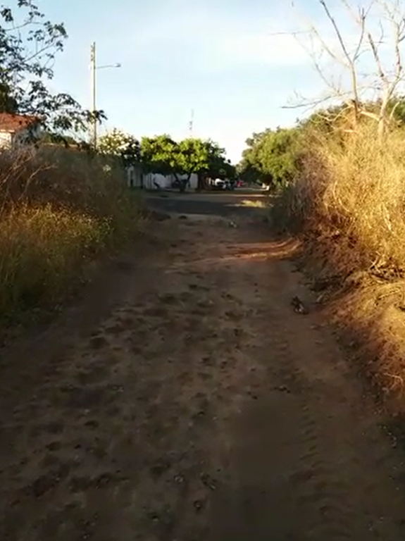 Prefeitura Realiza obras de recuperação em estradas vicinais no município - Imagem 2