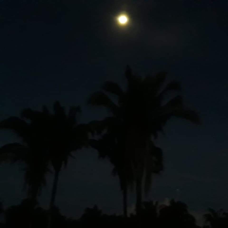 Pega de Boi reúne Vaquerama e amigos em Prado na comunidade Baixa Grande  - Imagem 17