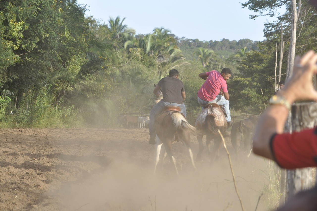 Pega de Boi reúne Vaquerama e amigos em Prado na comunidade Baixa Grande  - Imagem 1