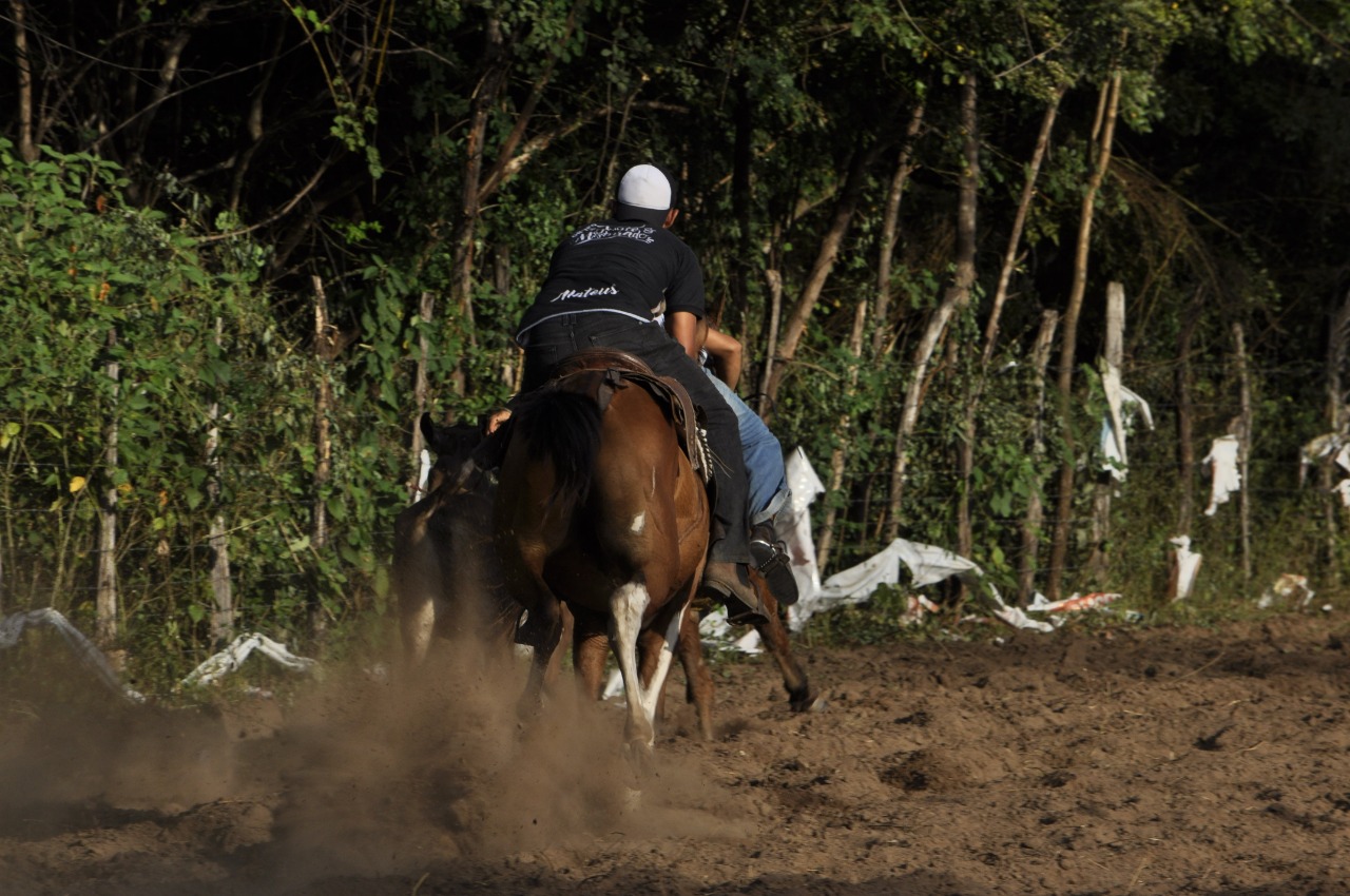 Pega de Boi reúne Vaquerama e amigos em Prado na comunidade Baixa Grande  - Imagem 8
