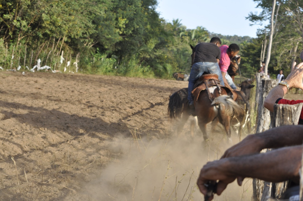 Pega de Boi reúne Vaquerama e amigos em Prado na comunidade Baixa Grande  - Imagem 4