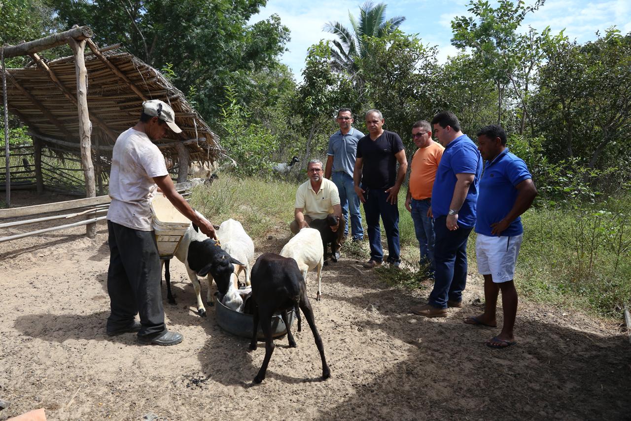 Programa “ Fazenda Produtiva” vai gerar lucro na zona Rural de Palmeirais