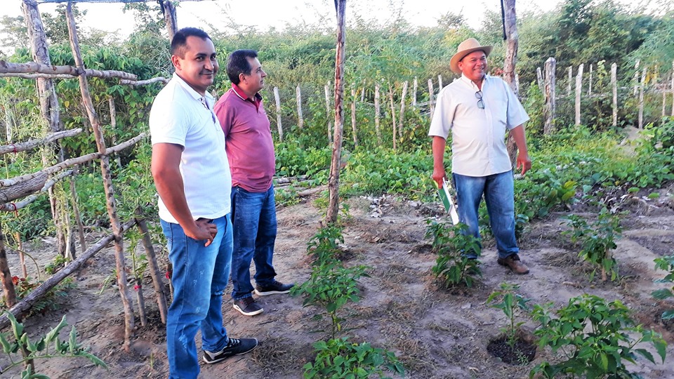 Prefeito Genival Bezerra visita horta comunitária na zona rural - Imagem 11