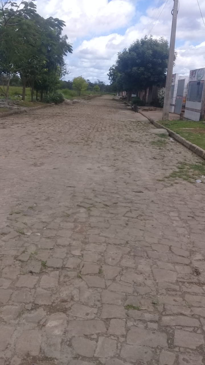 Prefeitura realiza mutirão de limpeza em toda cidade - Imagem 2