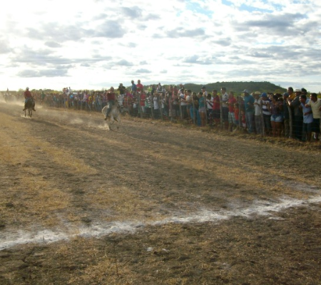 Campo de Aviação sediará corrida de cavalos logo mais às 16horas
