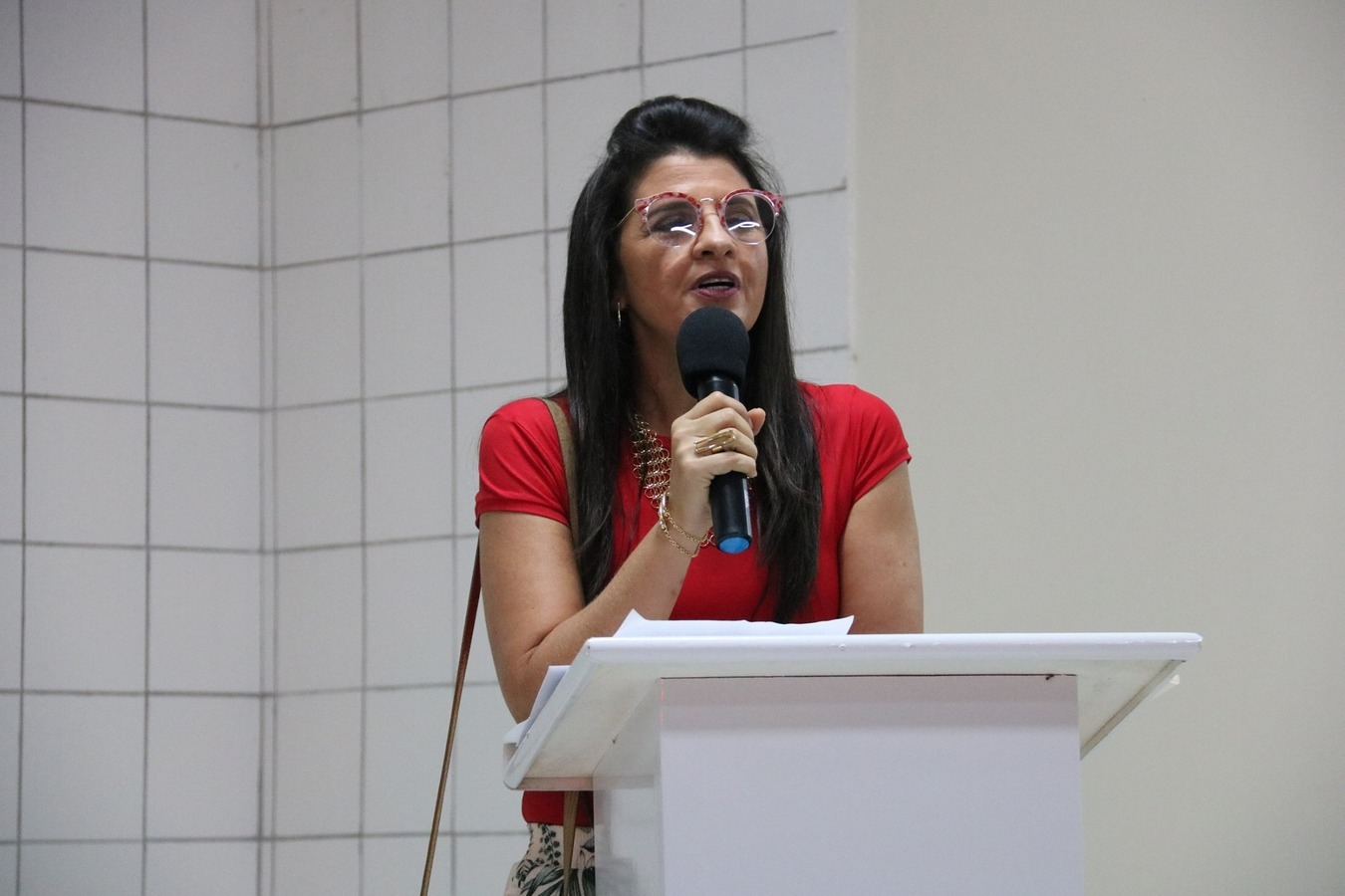 Prefeitura de Água Branca entrega reformas do hospital e matadouro no aniversário da cidade - Imagem 25