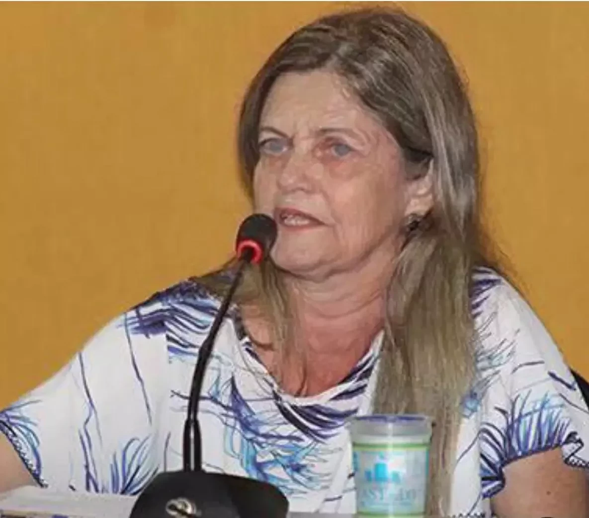 Veja como ficou os políticos piauienses com o filtro idoso do FaceApp - imagem 819