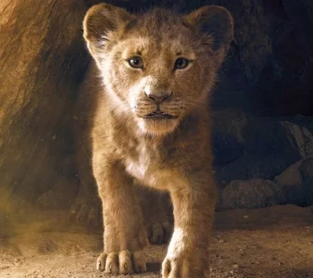 O Rei Leão: Compare os personagens da animação com os da live-action 