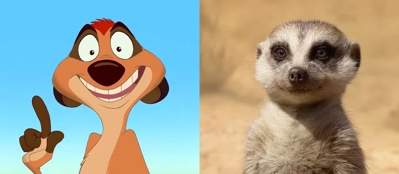 O Rei Leão: Compare os personagens da animação com os da live-action  - imagem 1148