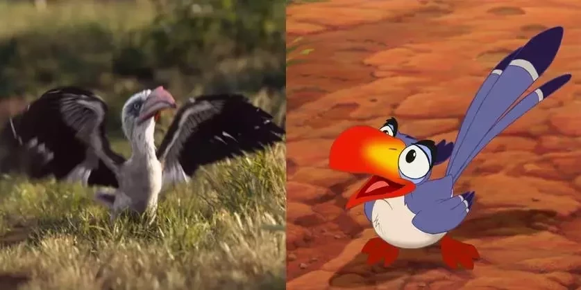 O Rei Leão: Compare os personagens da animação com os da live-action  - imagem 1150