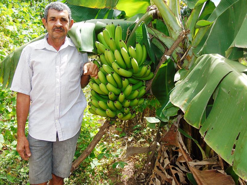 Sítio Agroecológico um local digno para suas comemorações e lazer com paisagens exuberantes  - Imagem 10