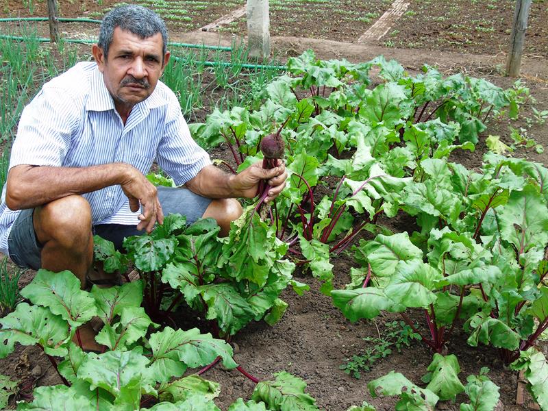 Sítio Agroecológico um local digno para suas comemorações e lazer com paisagens exuberantes  - Imagem 13