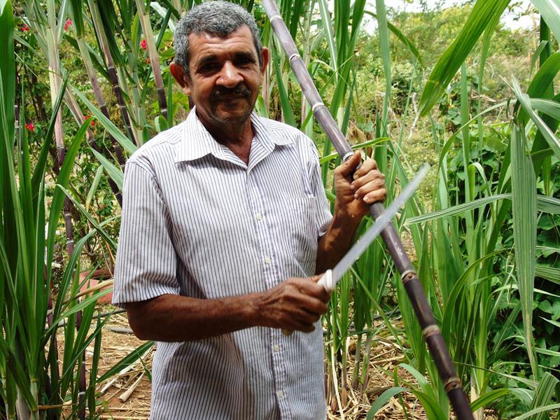 Sítio Agroecológico um local digno para suas comemorações e lazer com paisagens exuberantes  - Imagem 15