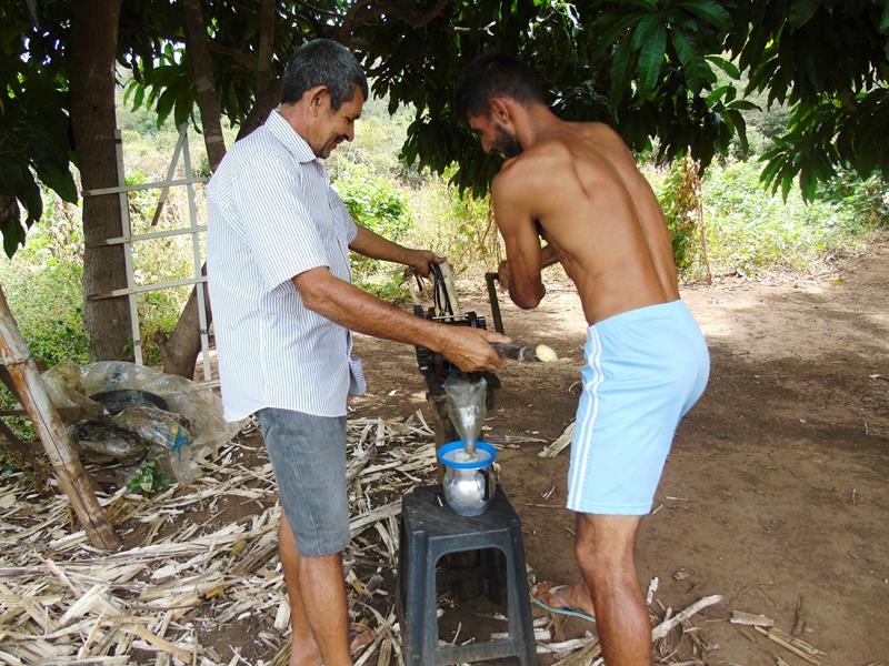 Sítio Agroecológico um local digno para suas comemorações e lazer com paisagens exuberantes  - Imagem 17