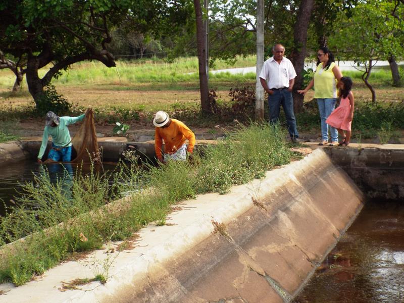 Prefeitura inicia peixamento em açudes de Pedro II - Imagem 14