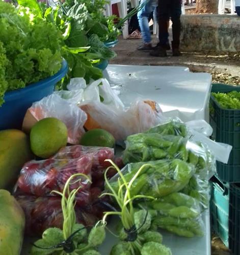 Público prestigia comprando produtos na Feira Sabores e Saberes  - Imagem 8