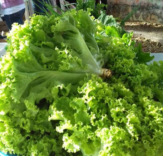 Público prestigia comprando produtos na Feira Sabores e Saberes  - Imagem 11