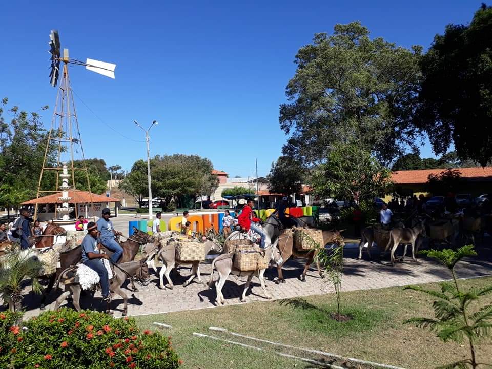 Uma tradição de fé em Santa Cruz dos Milagres que se mantém há 22 anos - Imagem 39