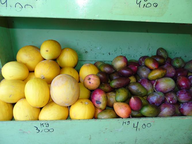 Sacolão São Vicente sempre com produtos novos e preços abaixo do mercado  - Imagem 17