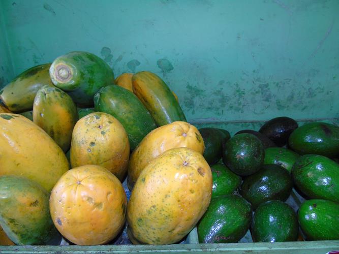 Sacolão São Vicente sempre com produtos novos e preços abaixo do mercado  - Imagem 16