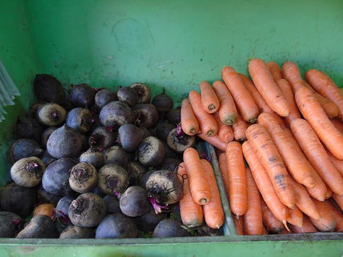 Sacolão São Vicente sempre com produtos novos e preços abaixo do mercado  - Imagem 9