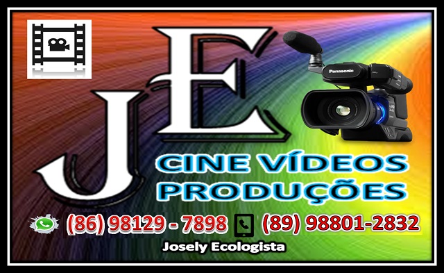 2º Dia do São João do Bairro Codó em Dom Expedito Lopes confira os vídeos. “Multidão prestigia o evento” - Imagem 3