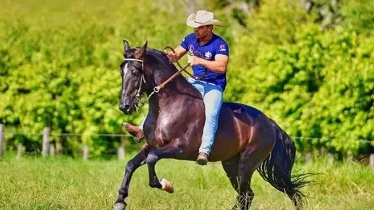 11 polêmicas do cantor Eduardo Costa - imagem 372