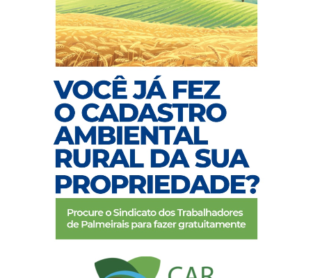 CAR é realizado gratuitamente em Palmeirais